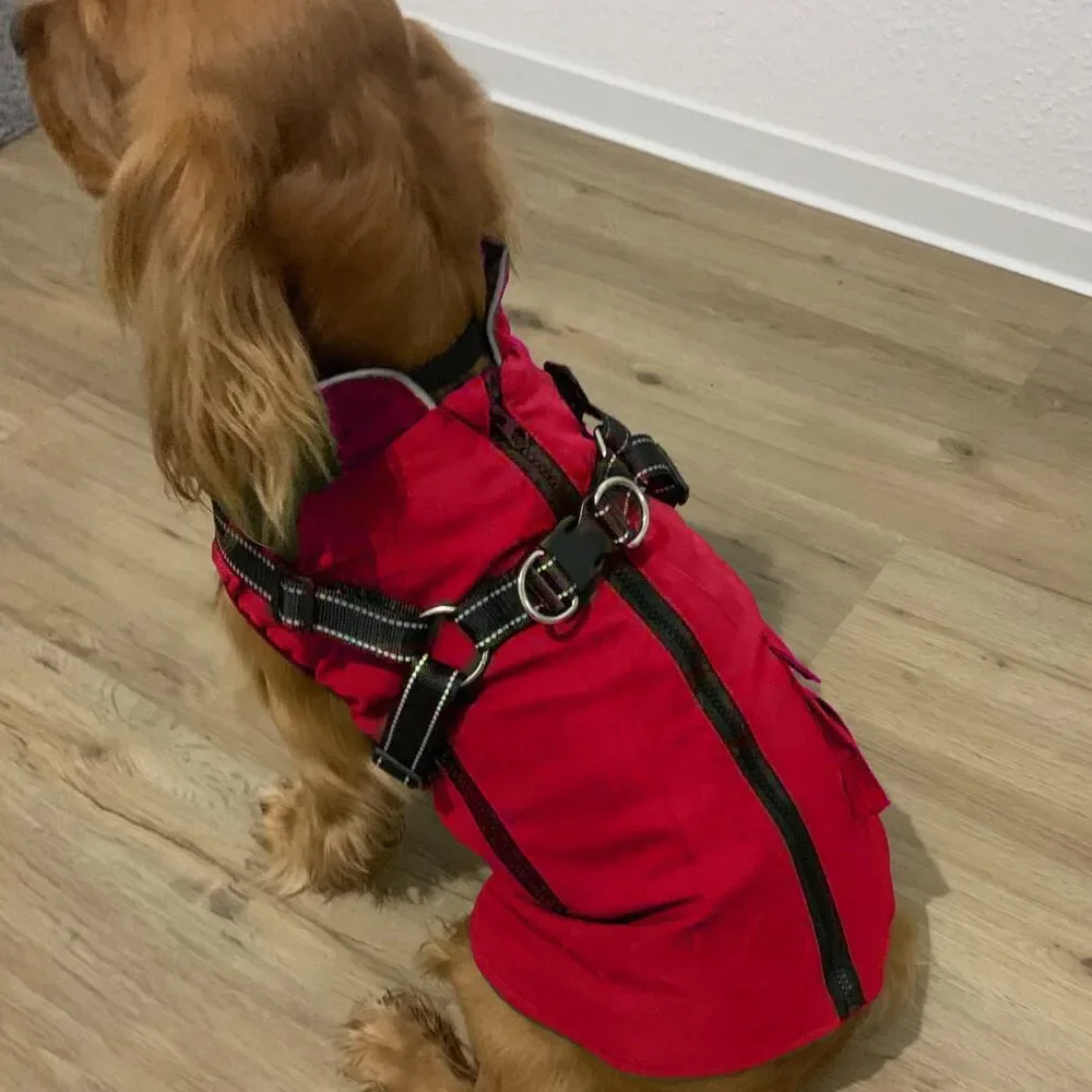 Dog Winter Coat with Harness Built-in